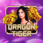 Dragon Tiger live casino on rr8866