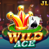 Wild Ace card slot on rr8866